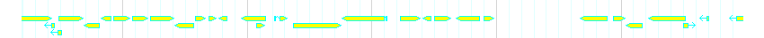Genes detail