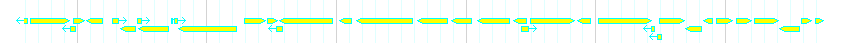 Genes detail
