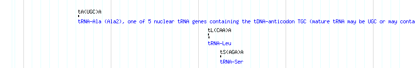 tRNAs detail