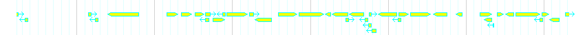Genes detail