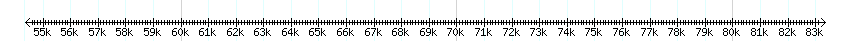 __scale__ detail