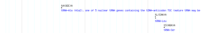 tRNAs detail