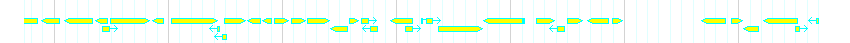 Genes detail