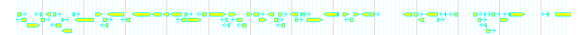 Genes detail
