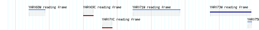 CDS detail