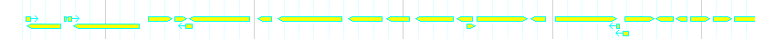Genes detail