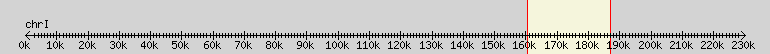 __scale__ overview