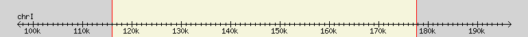 __scale__ region
