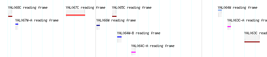 CDS detail