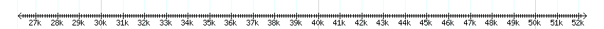 __scale__ detail
