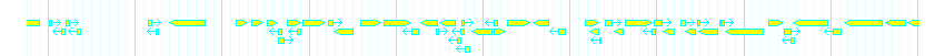 Genes detail