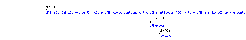 tRNAs detail