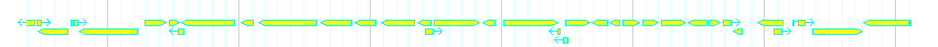 Genes detail