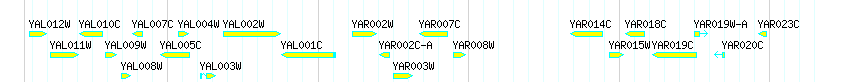 Genes detail