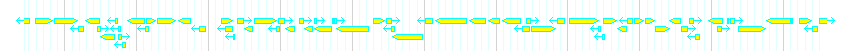 Genes detail