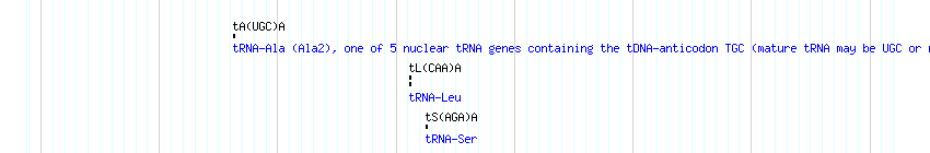 tRNAs detail