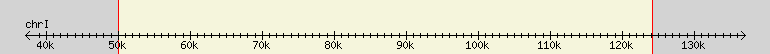 __scale__ region