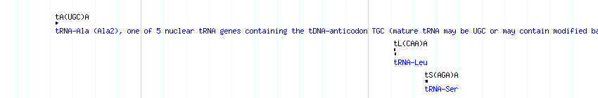tRNAs detail