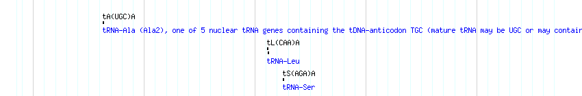 tRNAs detail