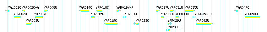 Genes detail