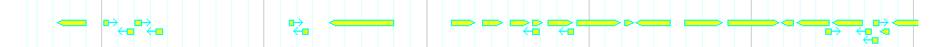 Genes detail