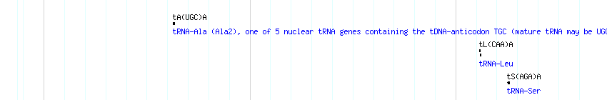 tRNAs detail