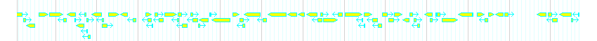 Genes detail