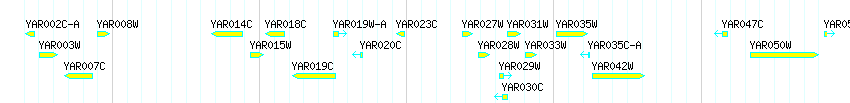 Genes detail
