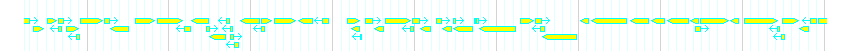Genes detail
