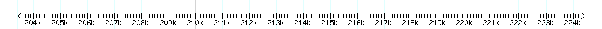 __scale__ detail