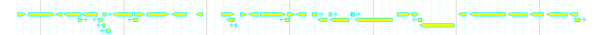 Genes detail