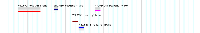 CDS detail
