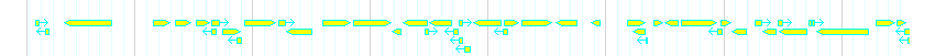 Genes detail