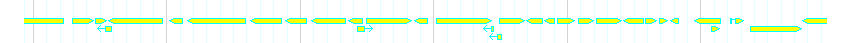Genes detail