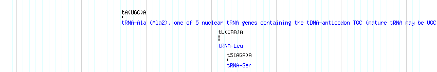 tRNAs detail
