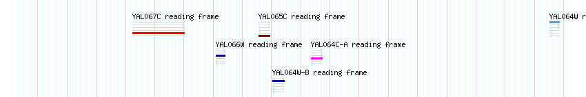 CDS detail