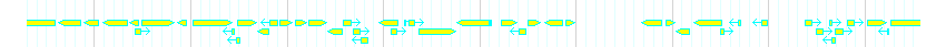 Genes detail