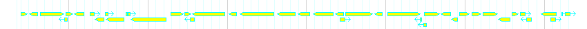 Genes detail