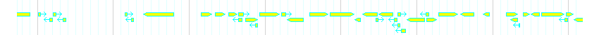 Genes detail