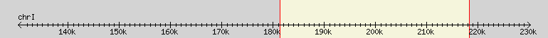 __scale__ region