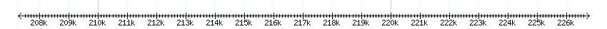 __scale__ detail