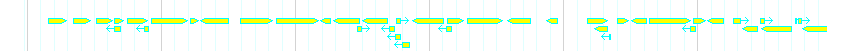 Genes detail