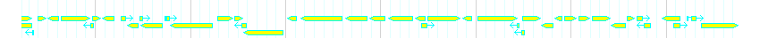 Genes detail
