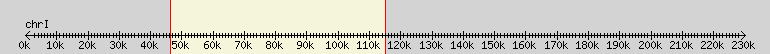 __scale__ overview