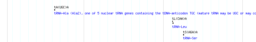 tRNAs detail