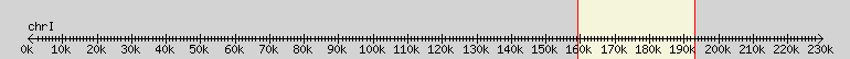 __scale__ overview