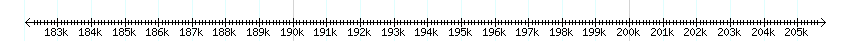 __scale__ detail