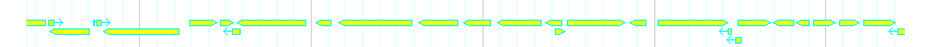 Genes detail