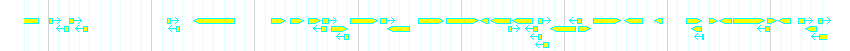 Genes detail