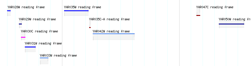 CDS detail